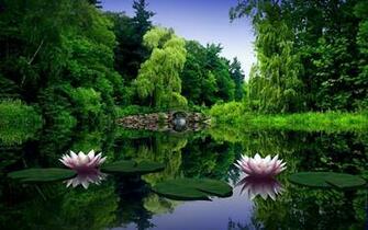 Green Nature Wallpaper