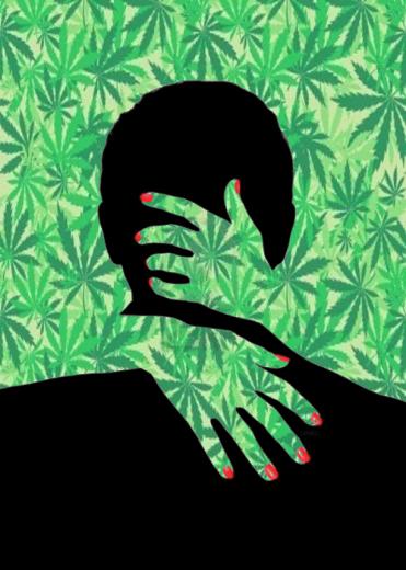 Buy Weed Seeds Online Discreetly Check Us Out Weedseedshop
