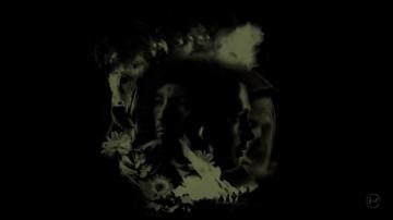 Do Any Of You Glorious People Have The Background Morph