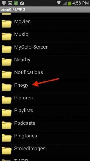 In The Phogy Folder Select Gif Which Will Contain All Of