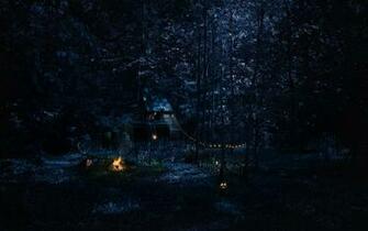 Dark Scary Creepy Pumpkins Trees Forest Fantasy Wallpaper Background