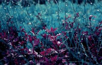 Teal Meadow Wallpaper