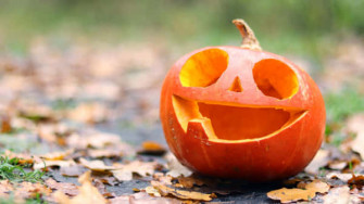 Cute Pumpkin X Wallpaper