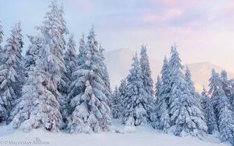 Foggy Winter Landscape In The Mountains Wallpaper For Blackberry