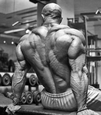 Beast Motivation Bodybuilding Just Get Started