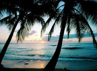 Background Wallpaper Barbados