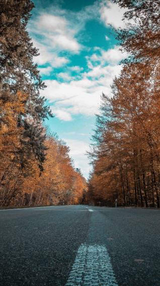 Autumn iPhone Plus Wallpaper