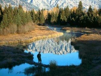 Wilderness Wallpaper Enjoy For Your