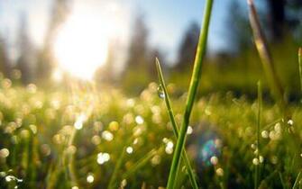 Hop Into Spring With Desktop Wallpaper For Springtime