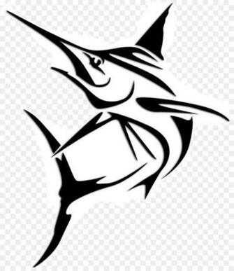 Shark Fin Background