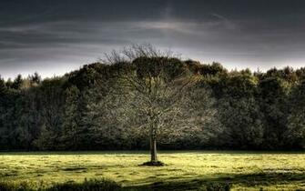 Wallpaper German Landscape