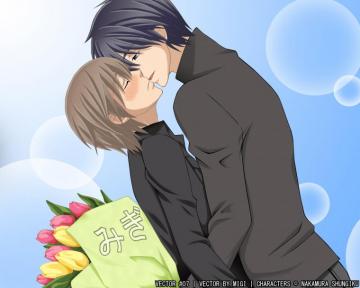 Junjou Romantica Wallpaper Zerochan Anime Image Board
