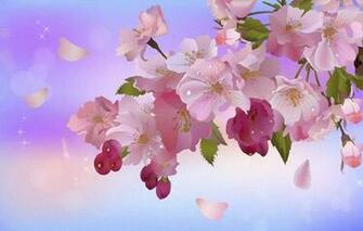 Apple Tree In Blossom Twig Leaves Bokeh Star Flower Buds Petals
