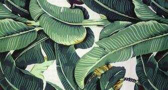 De Jungle Met Het Martinique Banana Leaf Wallpaper Van Hinson Roomed