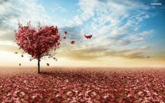 D Stere Rosa Herz Blumen Hintergrundbilder