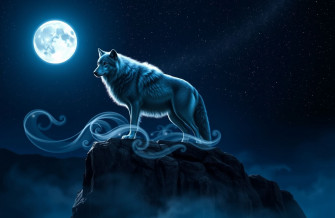 Cool Pictures Of Wolves Wallpaper