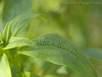 Have A Nice Day Wallpaper