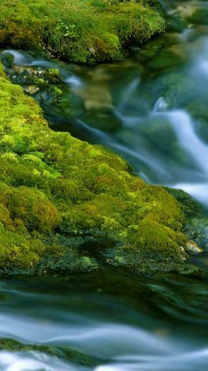 Best Nature iPhone Wallpaper
