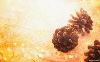 Wallpaper Nature Cg Seasons Autumn Winter