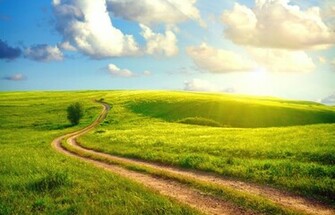 Sunny Day Wallpaper And Image Pictures Photos