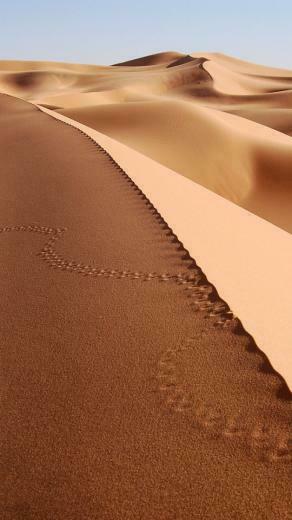 Endless Desert Wallpaper iPhone