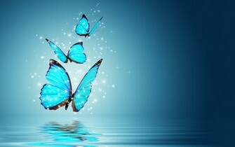 Butterfly Wallpaper Background HD Pretty