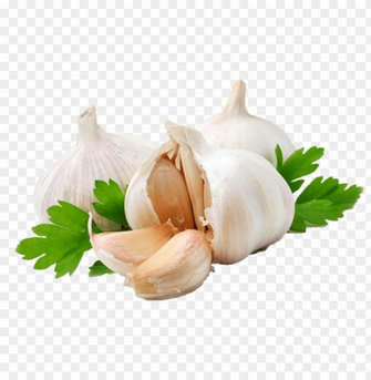 Garlic Png Image Background Toppng