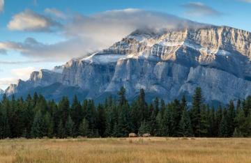 Wallpaper Trees Landscape Forest Mountains Sunset Hill