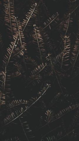 Gorgeous Happy Fall iPhone X Wallpaper Preppy