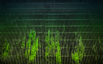 Grid Wallpaper HD