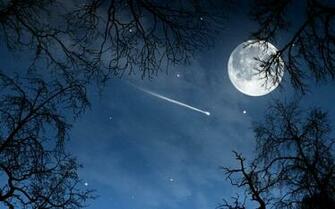 Stars Moon Comet Skyscapes Branches Wallpaper Space Moons HD