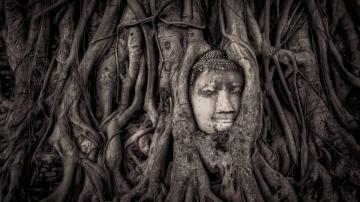 Buddha Head In Tree Roots Wat Mahathat Ayutthaya Thailand UHD 4k
