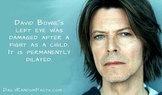 Famous People Funny Facts HD Wallpaper