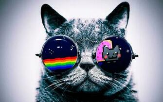 Hipster Cat Wallpaper Top Background