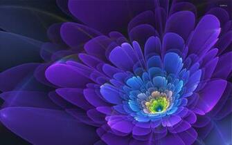 Beautiful Flower Wallpaper Abstract