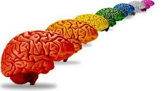 Neurodiversity Colours Our World Illustration By Charlene Mclaughlin