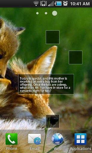 Android Apps Bing Live Wallpaper