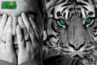 Animal Planet Wallpaper By Aleksandarn