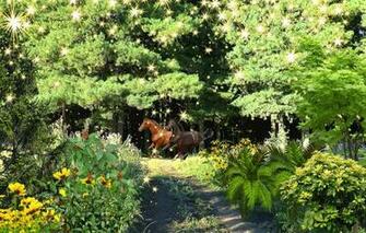 Wallpaper Summer Dream Nature Fantasy Taiga Horses Forest