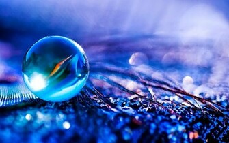 Animated Wallpaper Windows