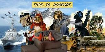 Meme Ftw Dog Fort Desktop Wallpaper Available Here