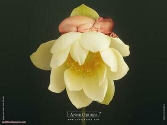 Anne Geddes Wallpaper Part Desktop HD