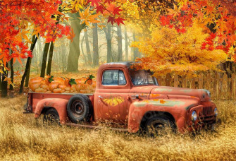 Rts Kate Fall Pumpkin Truck Harvest Thanksgiving Backdrop For Photogra