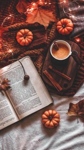 Penny Vang On Cute Fall Wallpaper