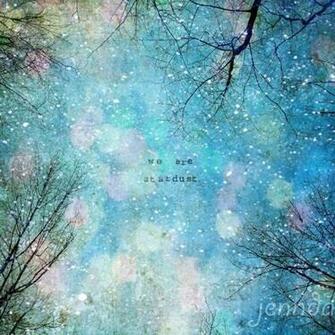 Photography Prints May Be Purchased By Click The Shop Link Or