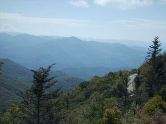 Blue Ridge Mountains Trees