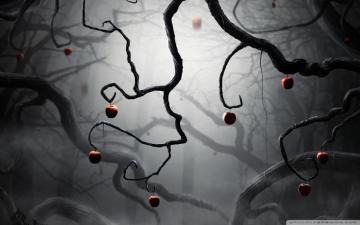 Magic Tree Wallpaper Id Wallpapervortex