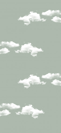Sage Green Aesthetic Wallpaper