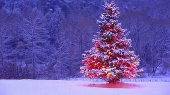 Beautiful Christmas Tree Wallpaper HD Tapandaola111