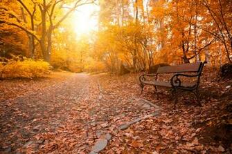 First Day Of Fall Fun Facts Pain